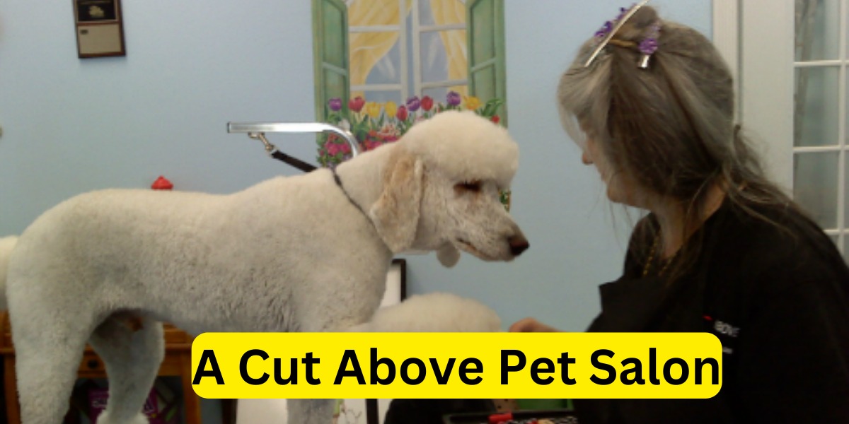 A Cut Above Pet Salon